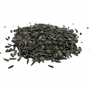 Solrosfrö