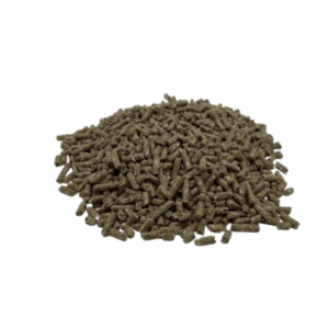 Hästbas