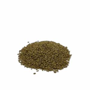 Korn